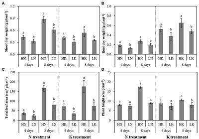 Response of Root Growth and Development to Nitrogen and Potassium Deficiency as well as microRNA-Mediated Mechanism in Peanut (Arachis hypogaea L.)